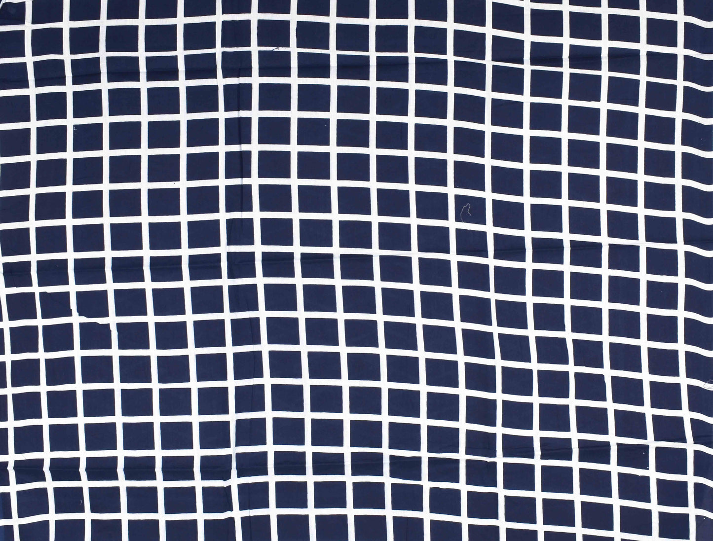 Indigo Blue Jaipur Cotton Mul Mul Saree