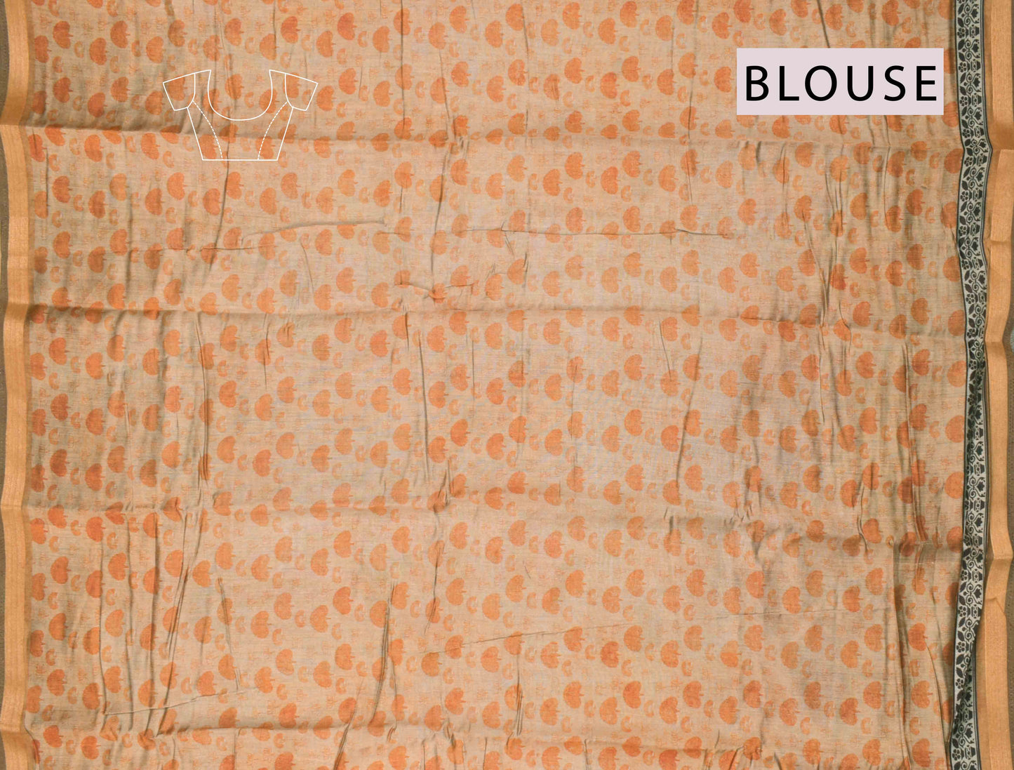 Multi Colour Mumbai Soft Cotton Aqua Garden Zari Border Pichwai Pallu Saree