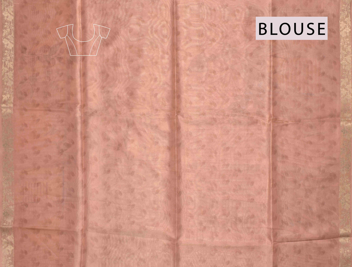 Light Brown Tissue Fancy Cotton Dreamy Florals Saree