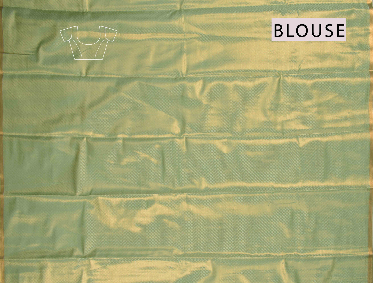 Light Green Semi Tissue Silk Copper Floral Frames Fancy Print Zari Border Saree