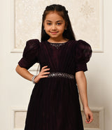 Elegant Wine Shimmery Gown for Girls