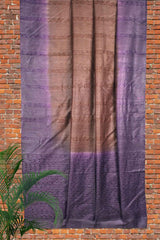 Brown Violet Banswara Fancy Saree