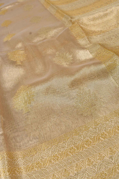 Gold Small Jari Border Butta Tissue Saree