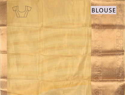 Gold Plain Tissue Rich Border Saree