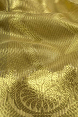 Gold Banaras Tissue Jari ZigZag Lines Rich Pallu Saree