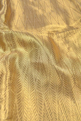 Golden Tissue Conifer Leaves Golden Zari Border Saree