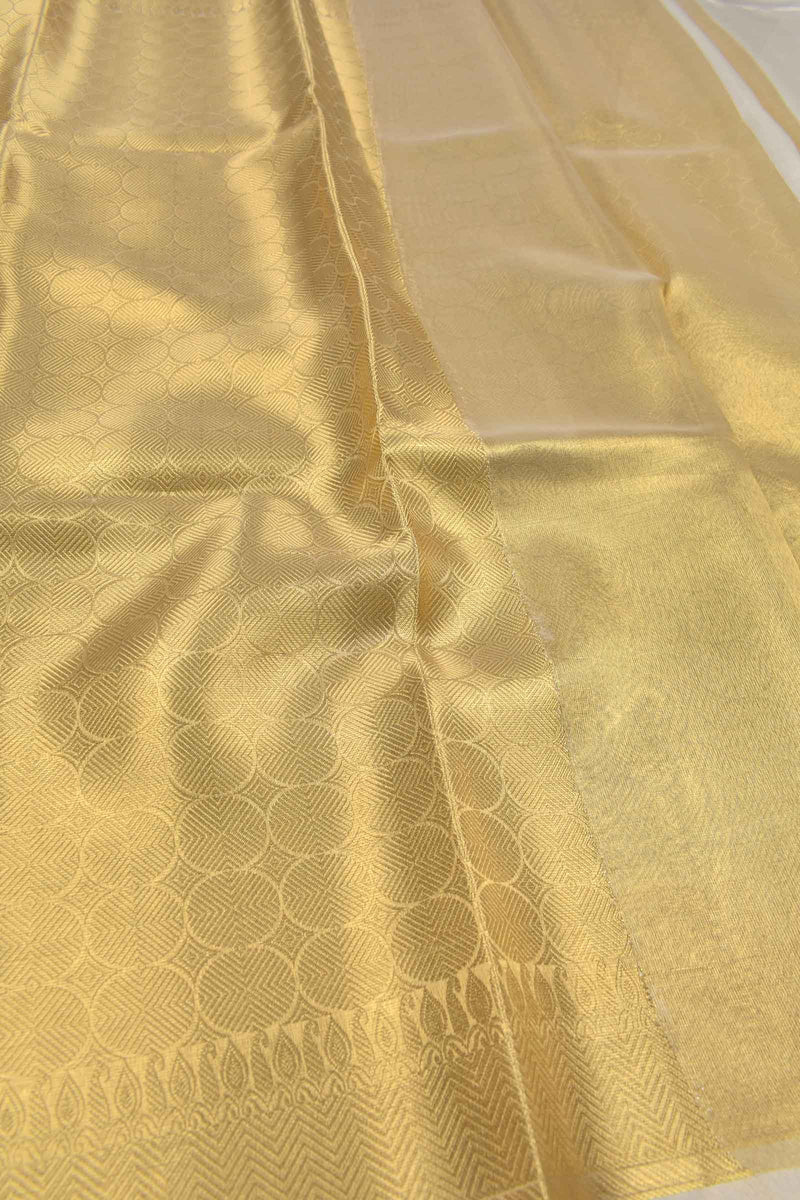 Golden Bubbles Tissue  Golden Zari Border Saree