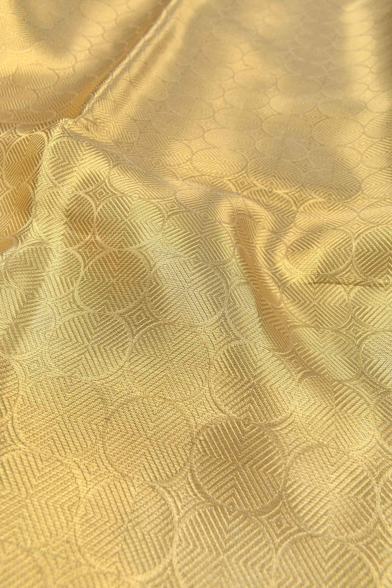 Golden Bubbles Tissue  Golden Zari Border Saree