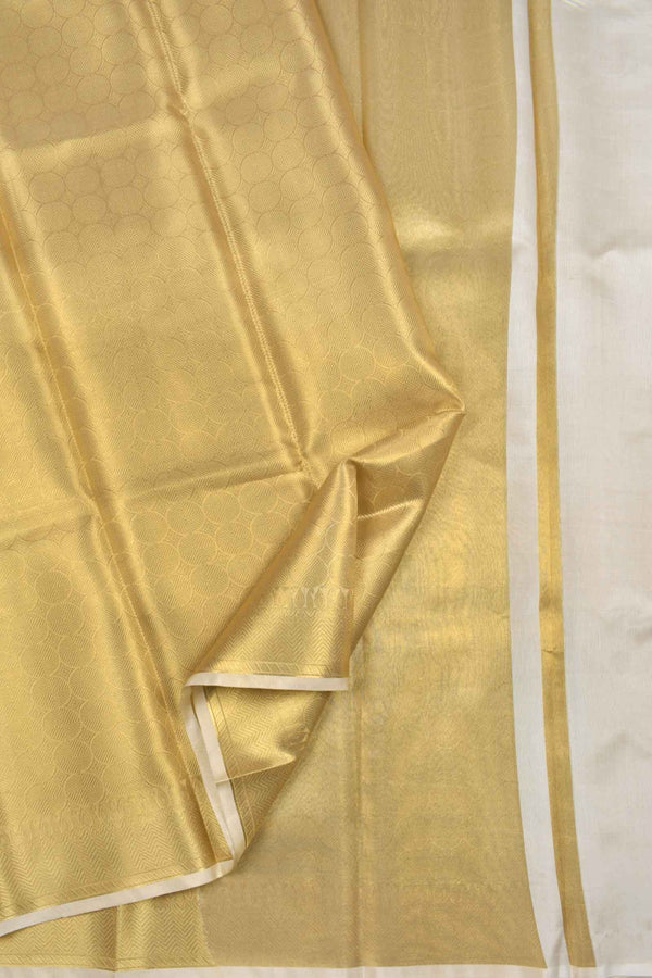 Golden Bubbles Tissue  Golden Zari Border Saree