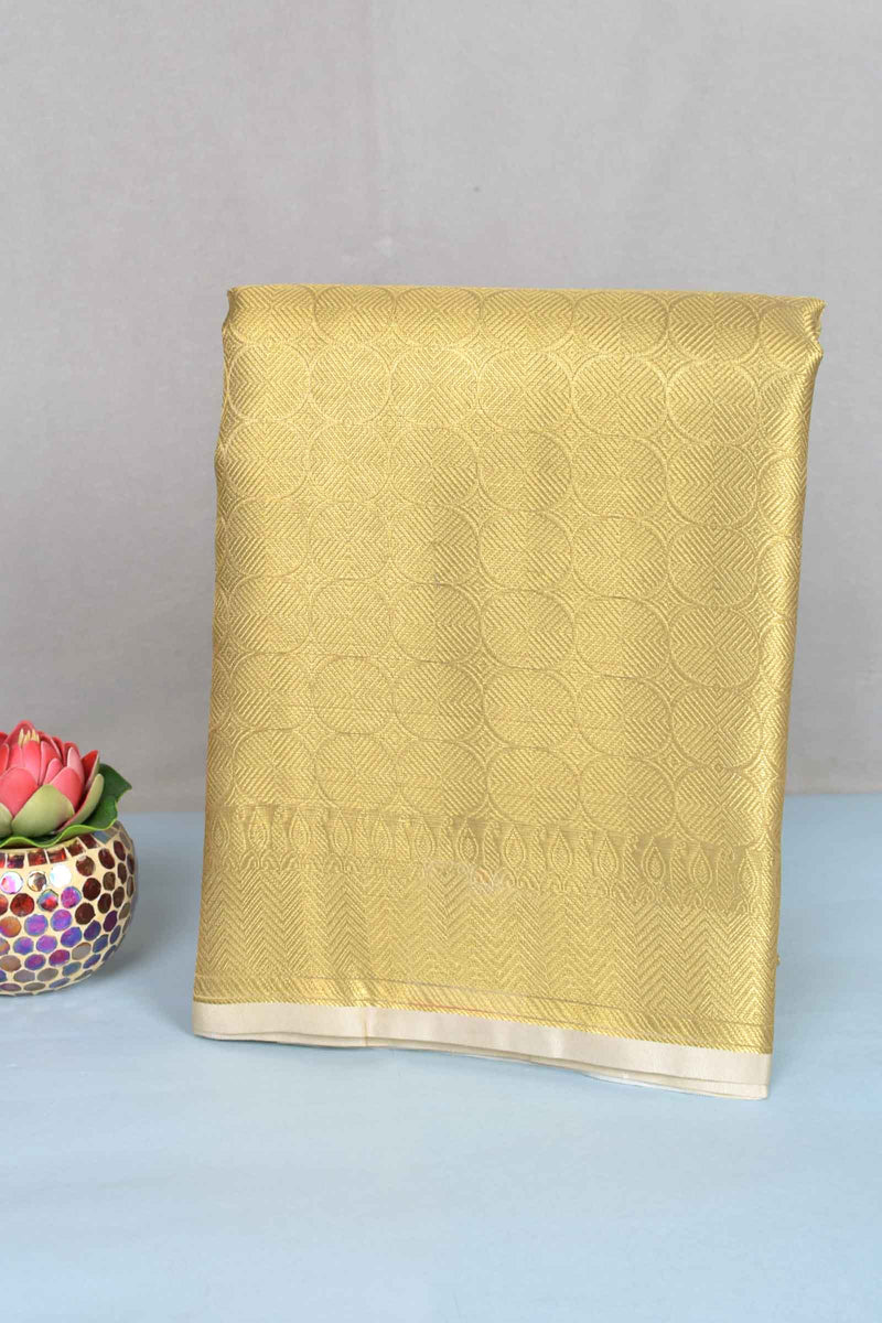 Golden Bubbles Tissue  Golden Zari Border Saree