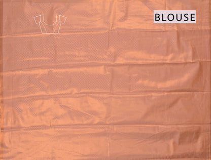 Light Copper Semi Tissue Silk Copper Floral Frames Fancy Print Zari Border Saree