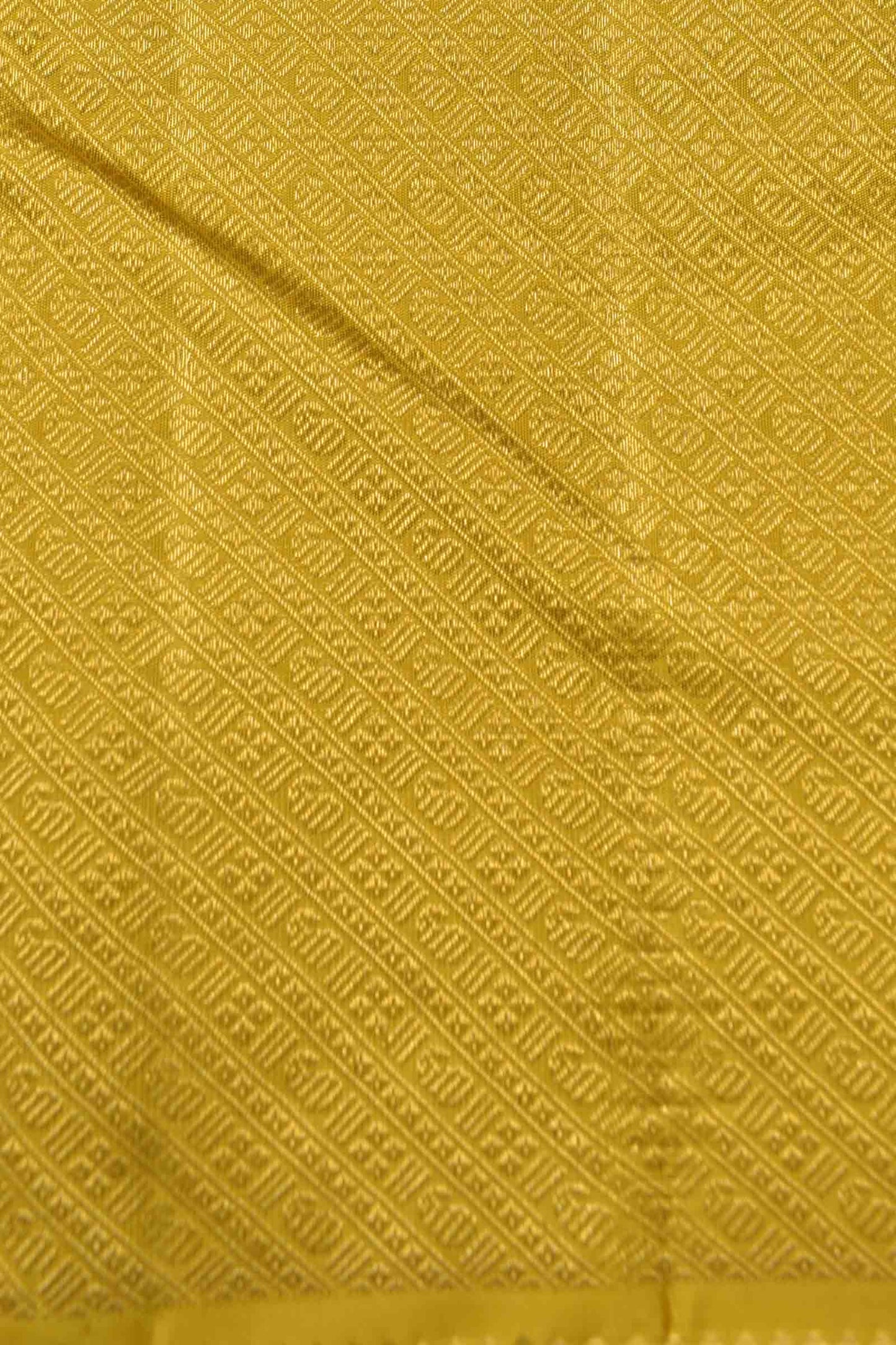 Light Green Light Weight Pure Silk Golden Checks Zari Border Saree NAA129