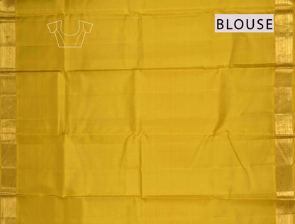 Light Green Light Weight Pure Silk Golden Checks Zari Border Saree NAA129