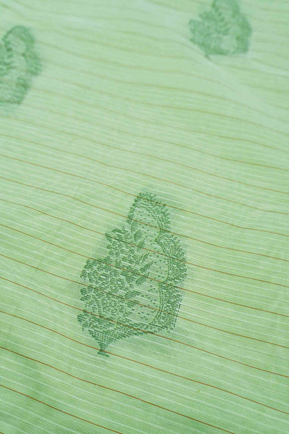 Light Green Pure South Cotton Lines Butta Leaves Pallu Saree