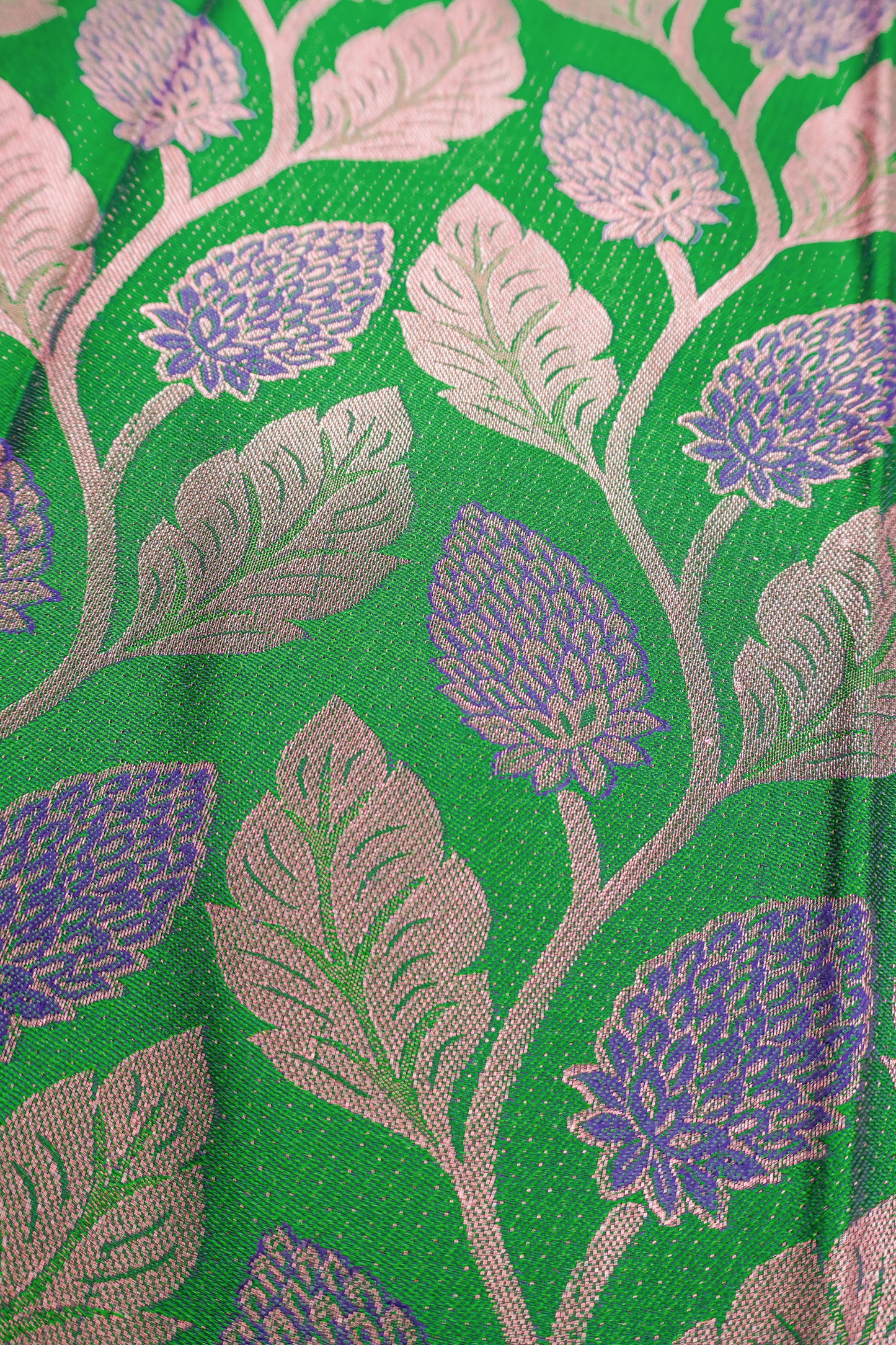 Green Semi Silk Twin Leaves Zari Border Contrast Pallu Saree