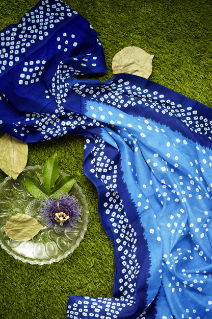 Blue on Blue Jaipur Cotton Shibori Style Cotton Saree